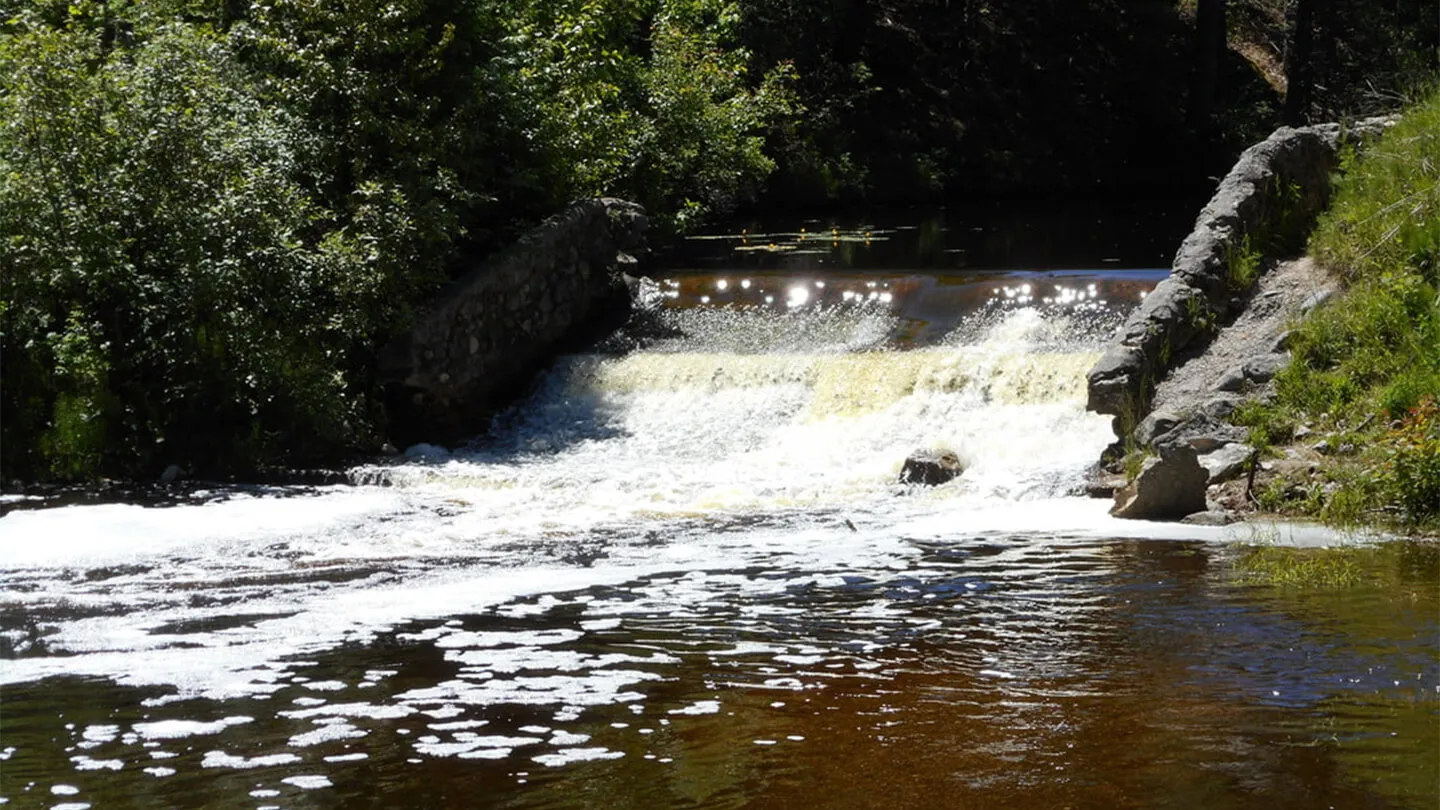 Herman Vogler Conservation Area